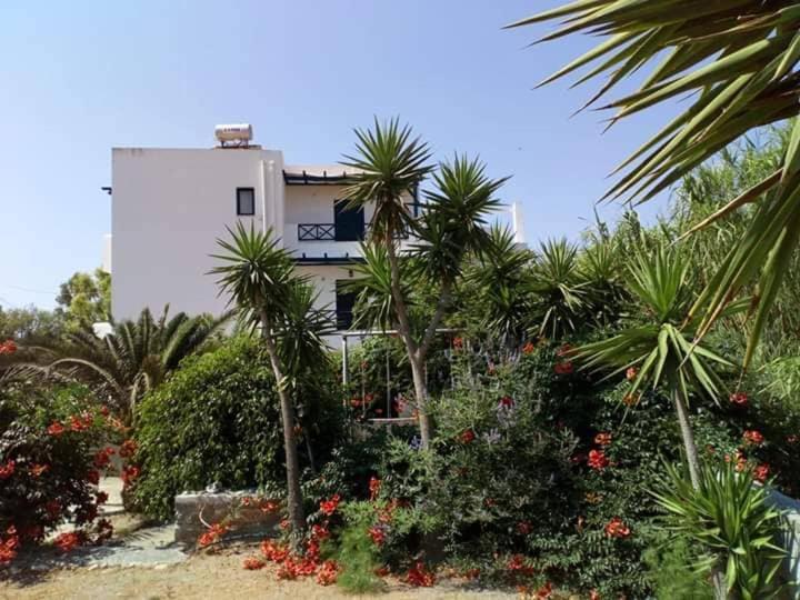 Glafki Studios Syros Mégas Yialós-Nítes Exterior foto
